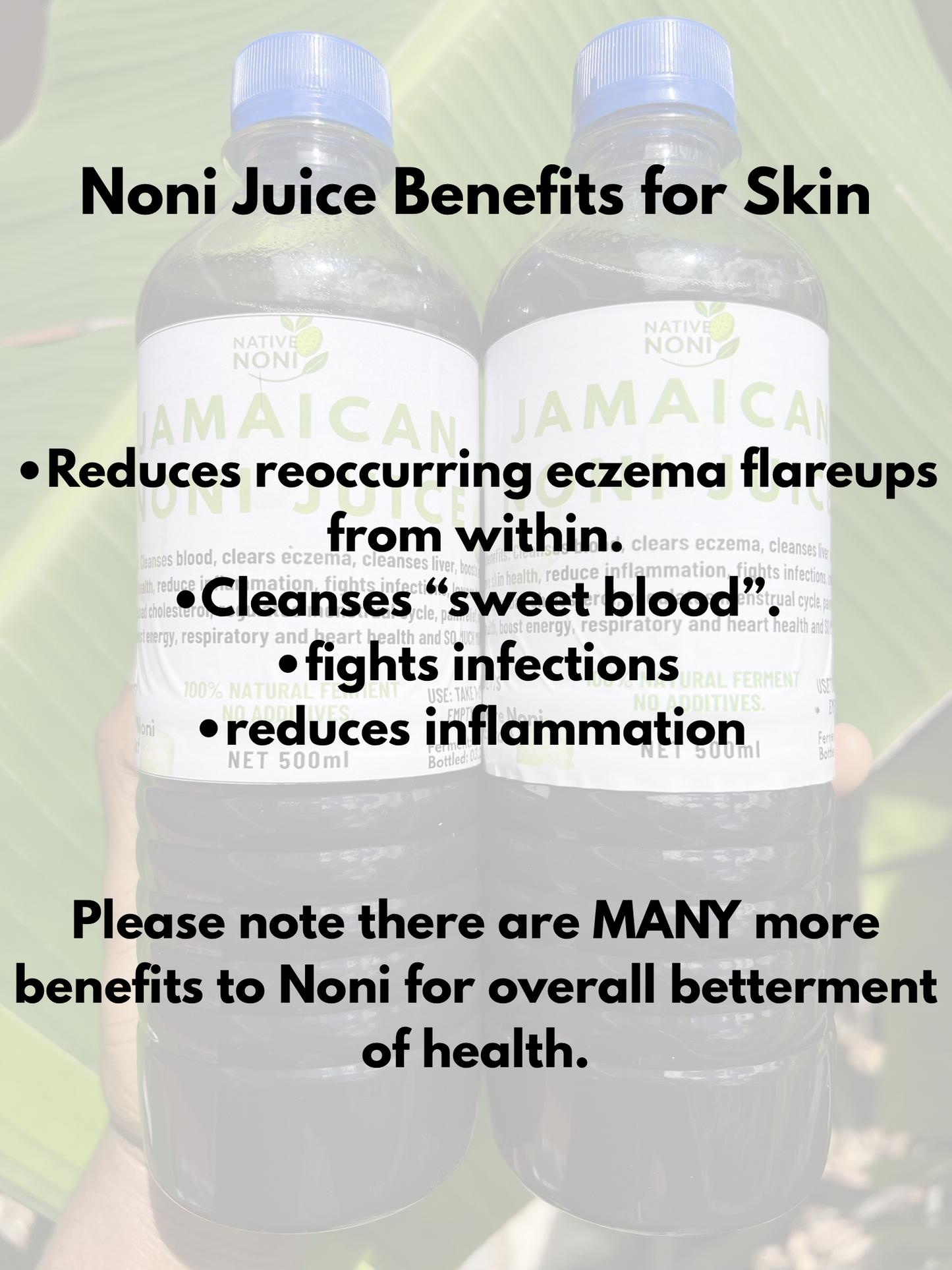 Noni Juice Ferment (JM ONLY)